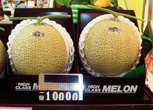 expensive-melon-in-japan.webp