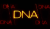 DNA Films